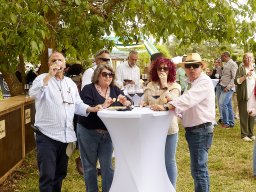 Festival Mar de Tethys 2026 - Bodega Vetas